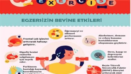 Spor ve Bilişsel Yetenekler: Düzenli Egzersizin Dikkat, Odaklanma ve Hafıza Üzerindeki Etkileri